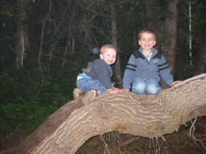 A fallen tree limb provided hours of entertainment